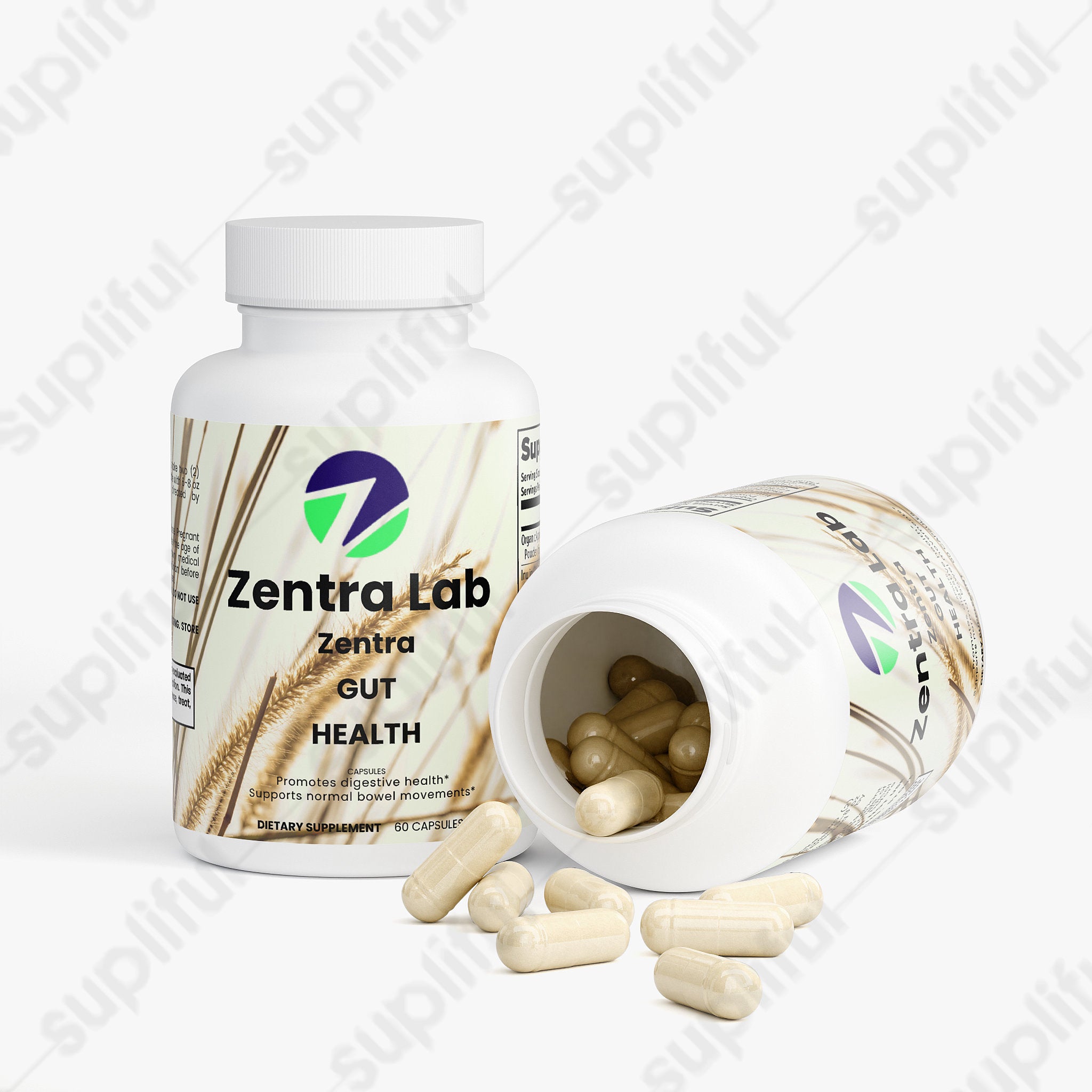Zentra Gut Health